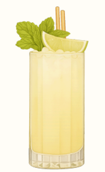 Elderflower Refresher